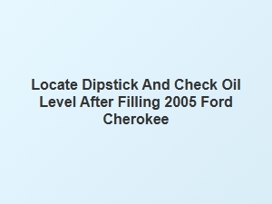 How to Locate the Dipstick and Check the Oil Level
